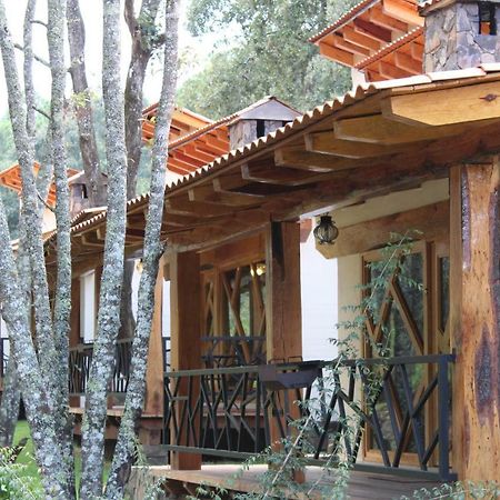 Villas Bellavista San Jose de Gracia  エクステリア 写真